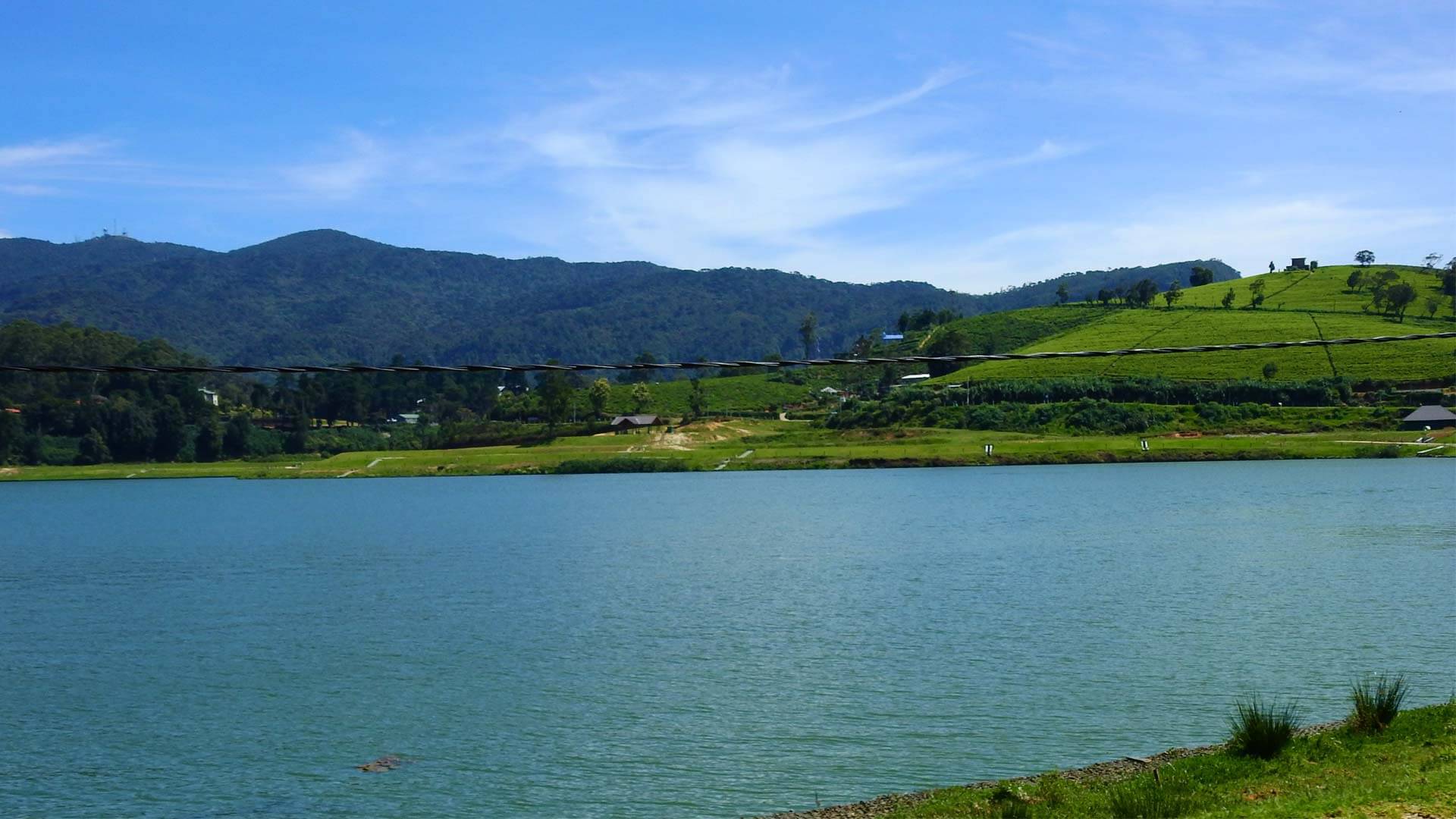 The Westbury Palace - Lake Gregory 